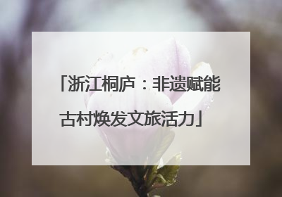浙江桐庐：非遗赋能古村焕发文旅活力