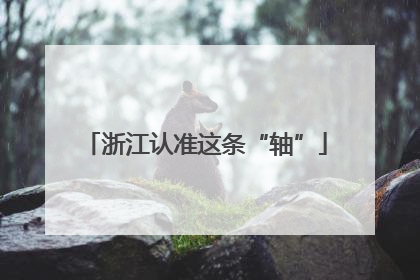 浙江认准这条“轴”