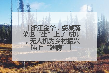 浙江金华：婺城蔬菜也“坐”上了飞机，无人机为乡村振兴插上“翅膀”