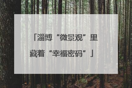 淄博“微景观”里藏着“幸福密码”
