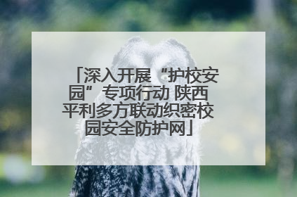 深入开展“护校安园”专项行动 陕西平利多方联动织密校园安全防护网