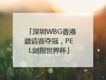 深圳WBG香港邀请赛夺冠，PEL剑指世界杯