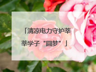 清凉电力守护莘莘学子“圆梦”