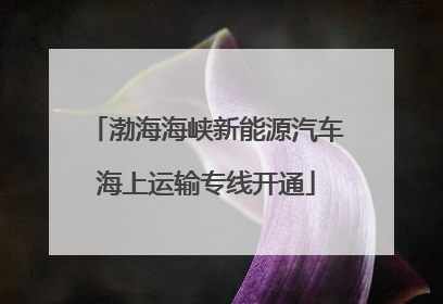 渤海海峡新能源汽车海上运输专线开通