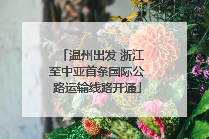 温州出发 浙江至中亚首条国际公路运输线路开通