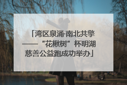 湾区泉涌·南北共擎——“花楸树”杯明湖慈善公益跑成功举办