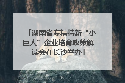 湖南省专精特新“小巨人”企业培育政策解读会在长沙举办