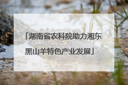 湖南省农科院助力湘东黑山羊特色产业发展