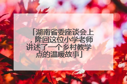 湖南省委座谈会上，隆回这位小学老师讲述了一个乡村教学点的温暖故事