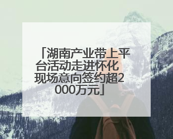 湖南产业带上平台活动走进怀化 现场意向签约超2000万元