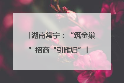 湖南常宁：“筑金巢”招商“引雁归”