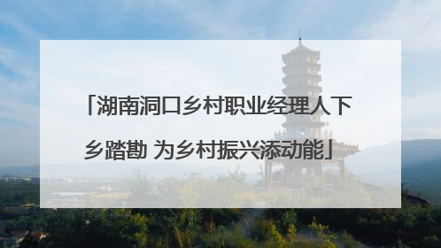 湖南洞口乡村职业经理人下乡踏勘 为乡村振兴添动能