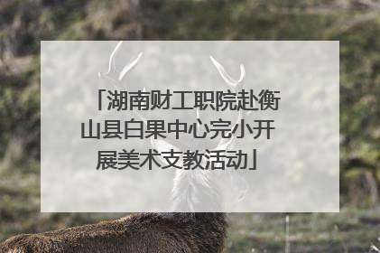 湖南财工职院赴衡山县白果中心完小开展美术支教活动