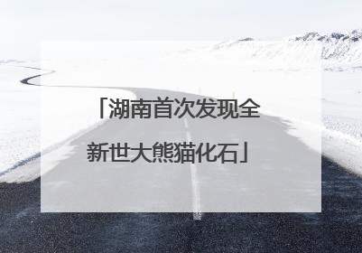 湖南首次发现全新世大熊猫化石