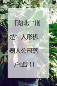 湖北“荆楚”人形机器人公司落户武昌