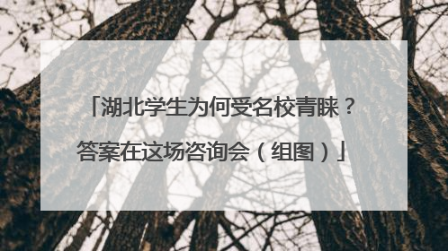 湖北学生为何受名校青睐？答案在这场咨询会（组图）