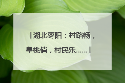 湖北枣阳：村路畅，皇桃俏，村民乐……