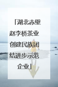 湖北赤壁赵李桥茶业创建民族团结进步示范企业