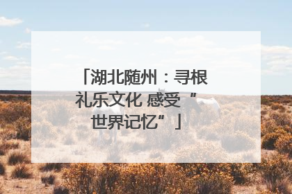 湖北随州：寻根礼乐文化 感受“世界记忆”