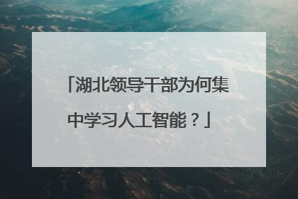湖北领导干部为何集中学习人工智能？