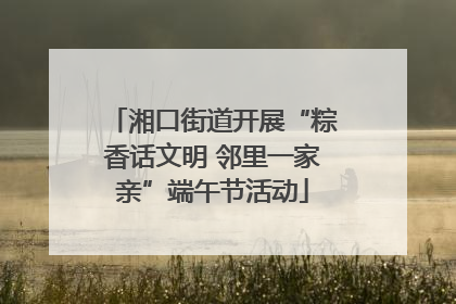 湘口街道开展“粽香话文明 邻里一家亲”端午节活动
