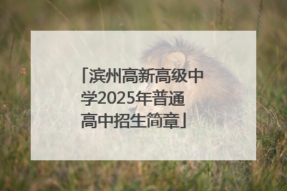 滨州高新高级中学2025年普通高中招生简章