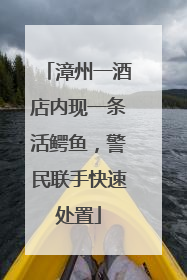 漳州一酒店内现一条活鳄鱼，警民联手快速处置