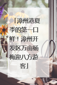 漳州港夏季的第一口鲜！漳州开发区万亩杨梅迎八方游客