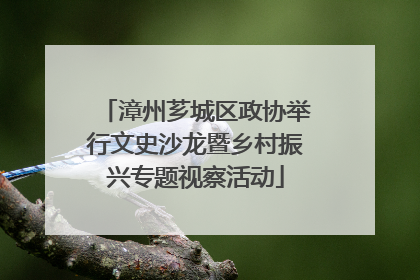 漳州芗城区政协举行文史沙龙暨乡村振兴专题视察活动