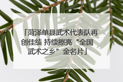 菏泽单县武术代表队再创佳绩 持续擦亮“全国武术之乡”金名片