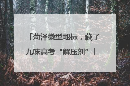 菏泽微型地标，藏了九味高考“解压剂”