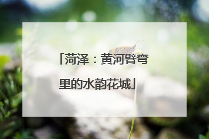 菏泽：黄河臂弯里的水韵花城