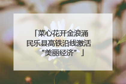 菜心花开金浪涌 民乐县高铁沿线激活“美丽经济”