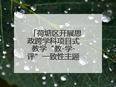 荷塘区开展思政跨学科项目式教学“教-学-评”一致性主题课例研讨活动