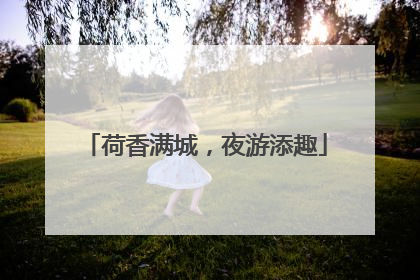 荷香满城，夜游添趣