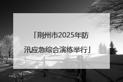 荆州市2025年防汛应急综合演练举行