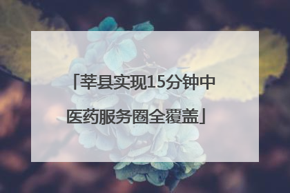 莘县实现15分钟中医药服务圈全覆盖
