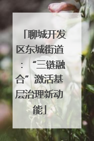 聊城开发区东城街道：“三链融合”激活基层治理新动能