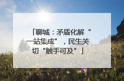 聊城：矛盾化解“一站集成”，民生关切“触手可及”