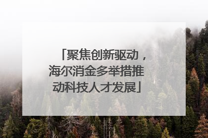 聚焦创新驱动，海尔消金多举措推动科技人才发展