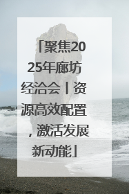 聚焦2025年廊坊经洽会丨资源高效配置，激活发展新动能