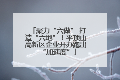 聚力“六做” 打造“六地”！平顶山高新区企业开办跑出“加速度”