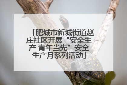 肥城市新城街道赵庄社区开展“安全生产 青年当先”安全生产月系列活动