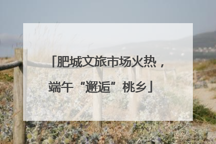 肥城文旅市场火热，端午“邂逅”桃乡