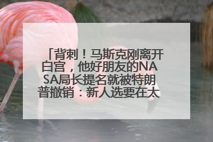 背刺！马斯克刚离开白宫，他好朋友的NASA局长提名就被特朗普撤销：新人选要在太空实现“美国优先”