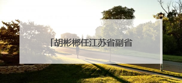 胡彬郴任江苏省副省长、省公安厅厅长