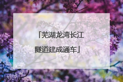 芜湖龙湾长江隧道建成通车