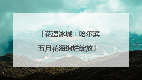 花语冰城：哈尔滨五月花海绚烂绽放
