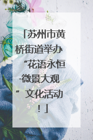 苏州市黄桥街道举办“花语永恒·微景大观”文化活动！