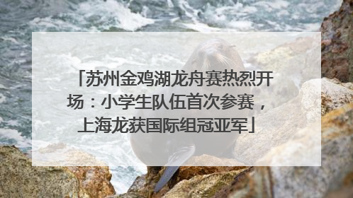 苏州金鸡湖龙舟赛热烈开场：小学生队伍首次参赛，上海龙获国际组冠亚军